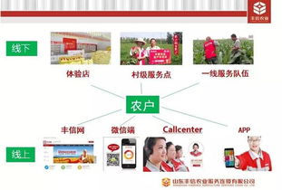 高青萬千農(nóng)民的福音 首家互聯(lián)網(wǎng)種植服務(wù)行業(yè)企業(yè)落戶大高青